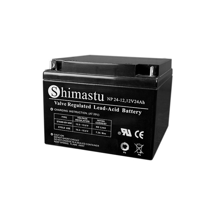 Lead Acid Battery For Electric Scooter